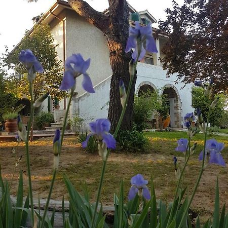 MeraVilla Ascoli Piceno Dış mekan fotoğraf