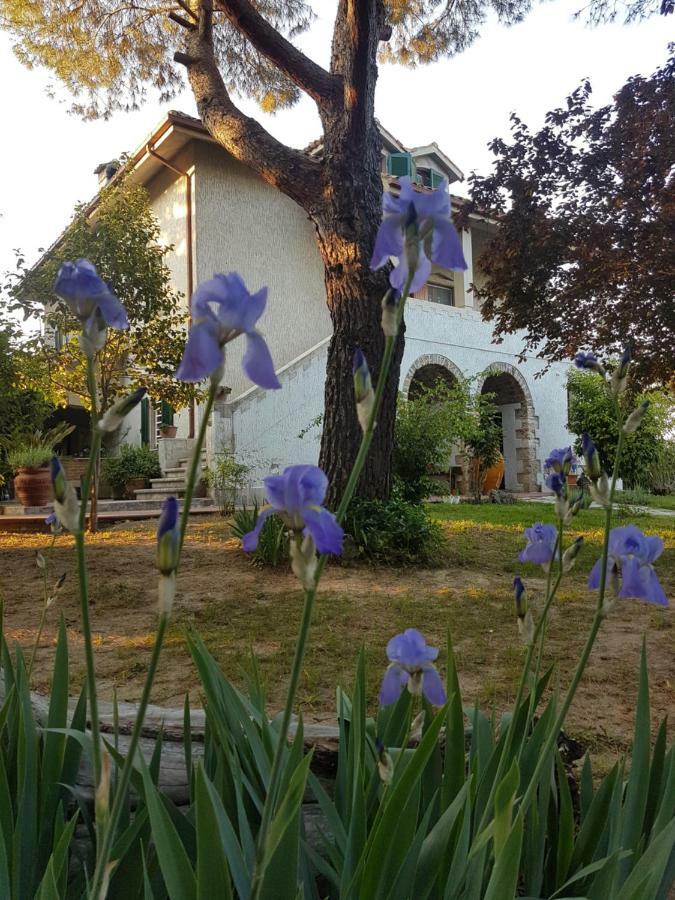 MeraVilla Ascoli Piceno Dış mekan fotoğraf