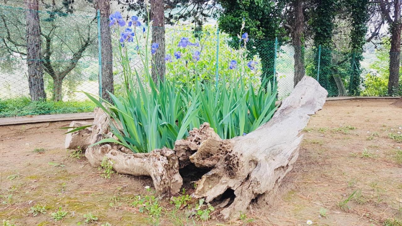 MeraVilla Ascoli Piceno Dış mekan fotoğraf